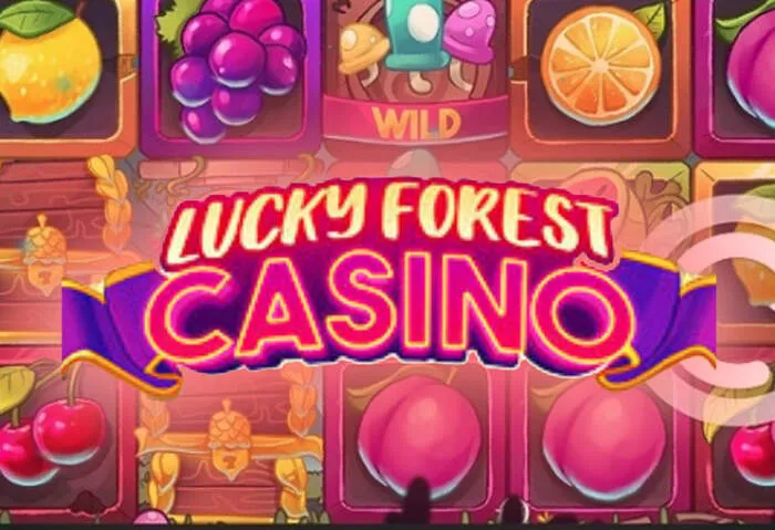 Explore Wishwin Casino Bonus and Promotions games library.